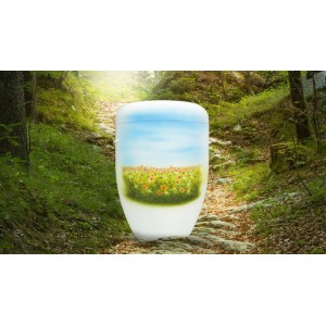 Biodegradable Cremation Ashes Funeral Urn / Casket – WILDFLOWER MEADOW